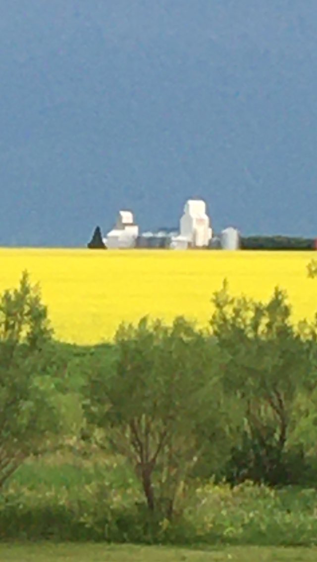 stone_lovell's tweet photo. Purves skyline https://t.co/8ci1cT60w0