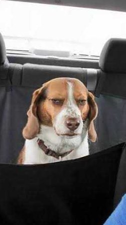 FriedHardt's tweet image. 