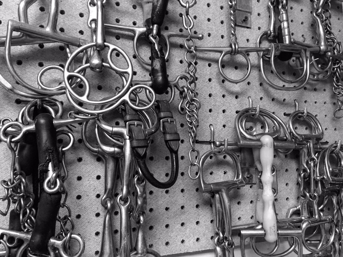 CathyLaDuke's tweet photo. A trip to the barn .. #horsebits #photoaday #iphonephotography #blackandwhitephotography #Day51 https://t.co/pUmFWmqyiA