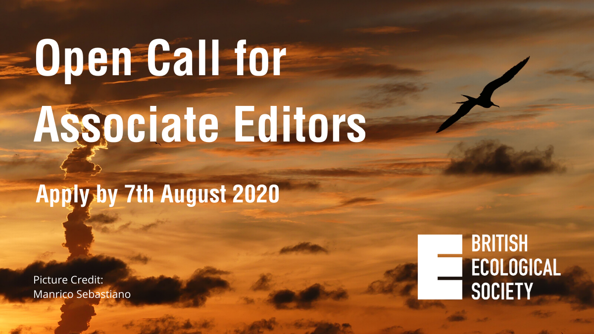 AER_ESE_BES's tweet photo. We know increasing diversity on the #BESEdBoard requires work to find the best people. We've opened up our process to reach beyond our usual networks. If you know someone who'd make a great editor please share - no editorial experience necessary https://t.co/FnkPB8zFos https://t.co/bgFvYoXvr5
