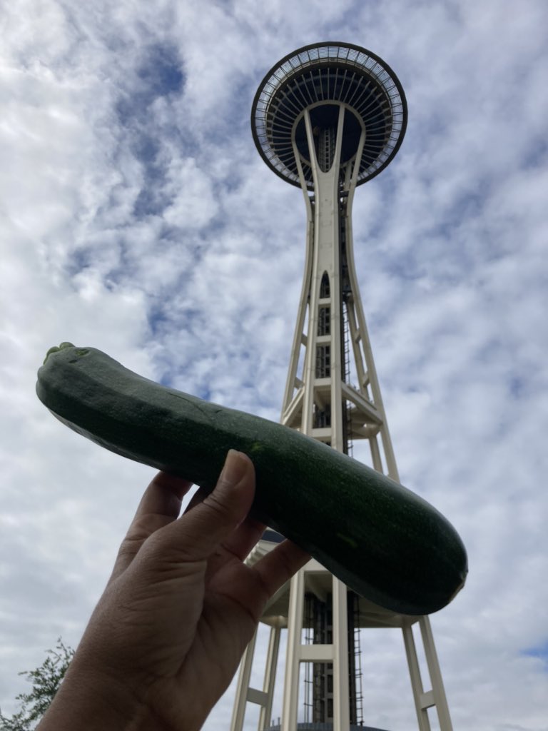 When people ask me what I did today: I was given a lovely zucchini from the lovely garden formerly #Chop which is now a #BlackLivesMemorialGarden on a field trip today around Seattle. I eat it tomorrow 😋 @blackstarfarmer