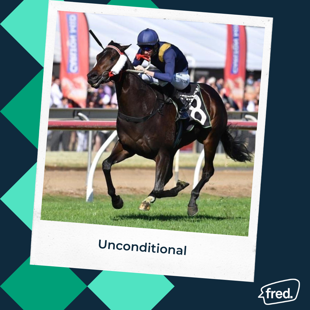 FriendsofMrEd's tweet photo. Our friend, Unconditional (aka. Jet), heads to Ipswich today, R5: No. 8, don't dismiss him! Trained by Toby and Trent Edmonds, ridden by Brad Stewart, good luck to all involved! #friendsofmred @2KTHOROUGHBREDS @EdmondsRacing https://t.co/qtbPjJOyoM