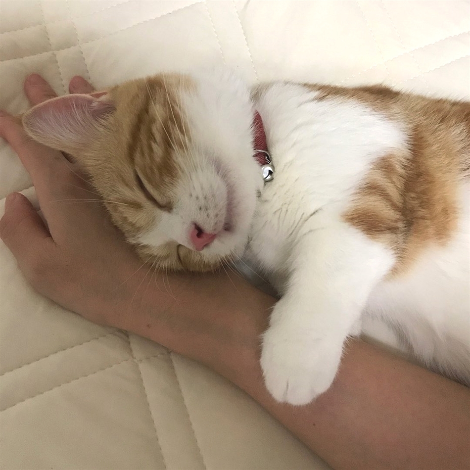 HereKittens's tweet photo. https://t.co/0iW5dvxq3D