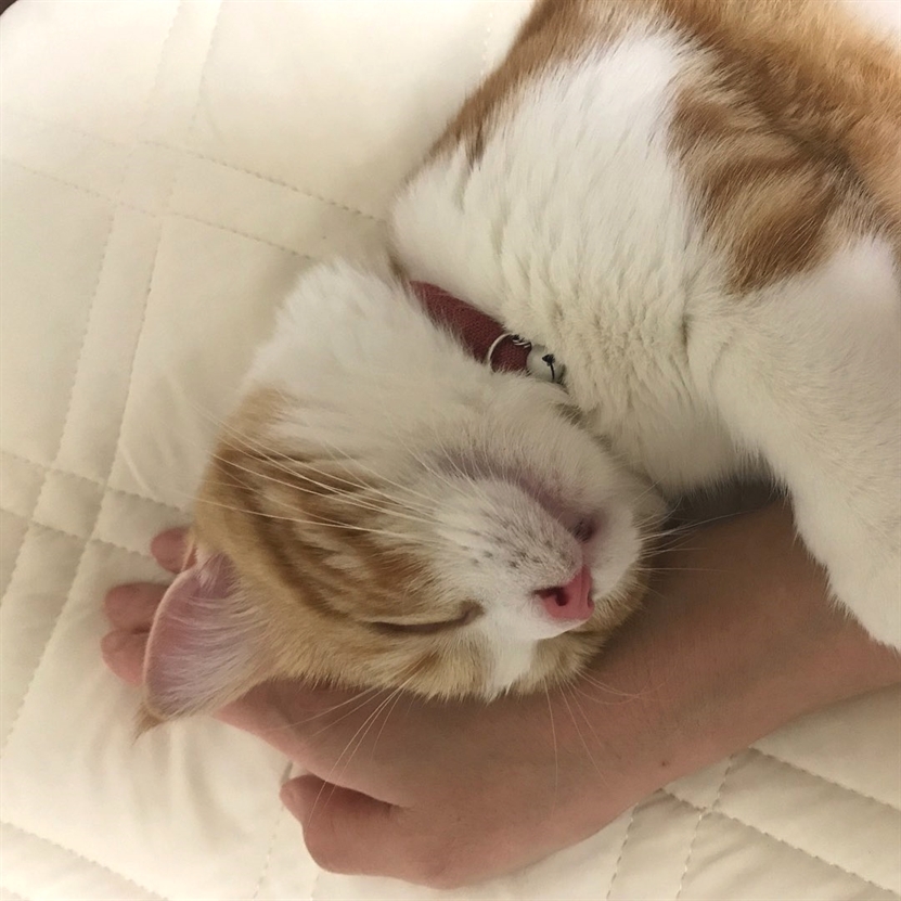 HereKittens's tweet photo. https://t.co/0iW5dvxq3D