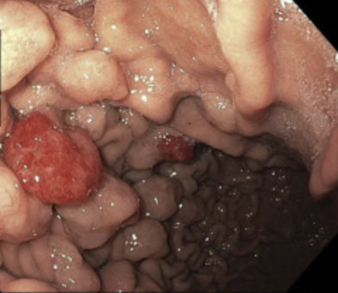 Mohamed Othman tweet media