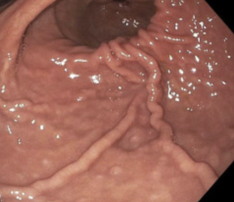 Mohamed Othman tweet media