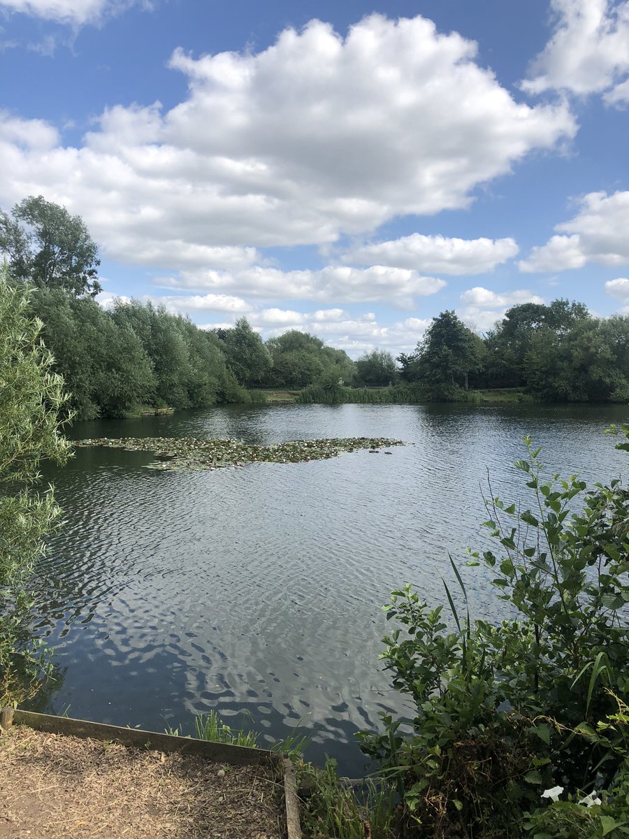 lotusflowerldn's tweet photo. Broke the Friday routine / timetable for this. Wore pink trousers. Did my hair (a little). Ditched the trainers. And opened up to the big blue sky. It’s not always about the neverendung tick list and goals galore. #humanbeing versus #humandoing https://t.co/oJxFAucj0V