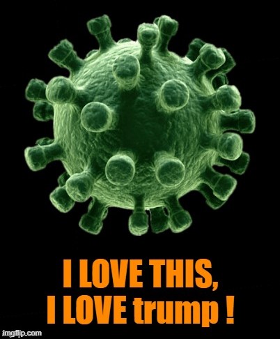 therealwombat1's tweet photo. @IsaacDovere @Philosocrat About 50 Times As Many #Americans So Far Have Died Of #Coronavirus Than On #September11 And @realdonaldtrump #DoesntGiveADamn! https://t.co/QSwjfIXhtd