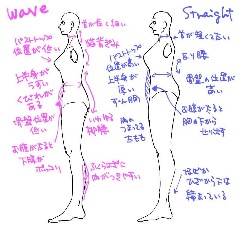 かなりデフォルメしてるが骨格ストレートとウェーブの差はこれだけある
ストレートの民は減量しても上半身痩せない&筋肉つきやすいのでさらなるガチムチレスラー体型に!!! 