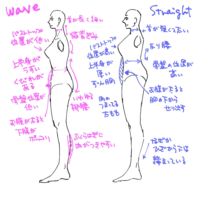 かなりデフォルメしてるが骨格ストレートとウェーブの差はこれだけある
ストレートの民は減量しても上半身痩せない&筋肉つきやすいのでさらなるガチムチレスラー体型に!!! 