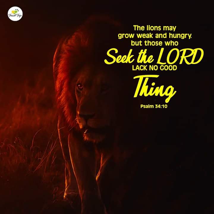 TravelTripalex's tweet photo. Travel Along With Us To Various Regions & Join Hands To Pray For A blessed India
.
Subscribe us on YouTube for Video Updates link in bio . https://t.co/s2crEaMBaJ
#verseoftheday #christforlife #instapic #instapost #travellife #tripindia #biker #life https://t.co/8LyhR804mj
