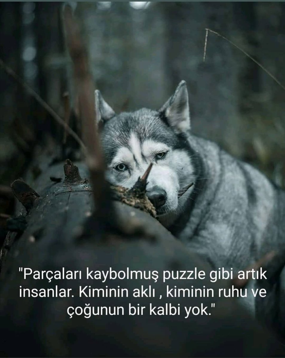 Okumaya değer