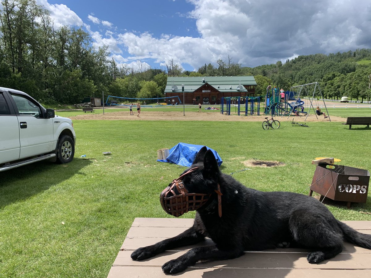 swade and sevan tweet media