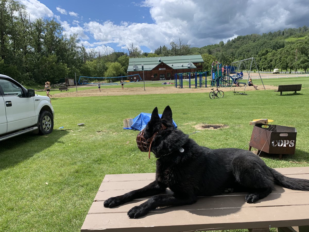 swade and sevan tweet media