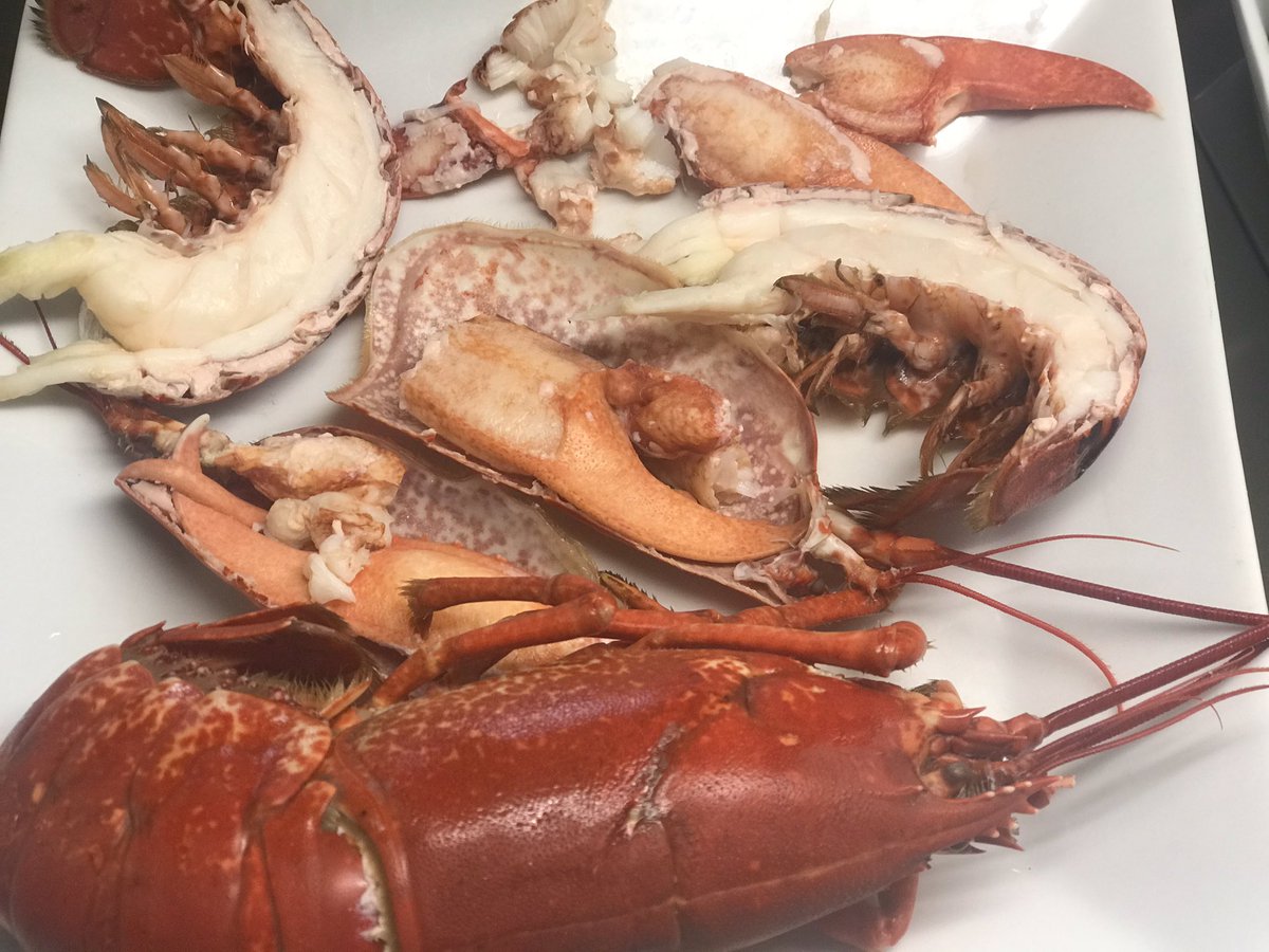 Great food going out all day at the Anstruther Boathouse and Larder. Same again tomorrow?