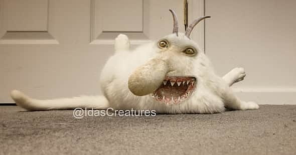 IdasCreatures tweet media