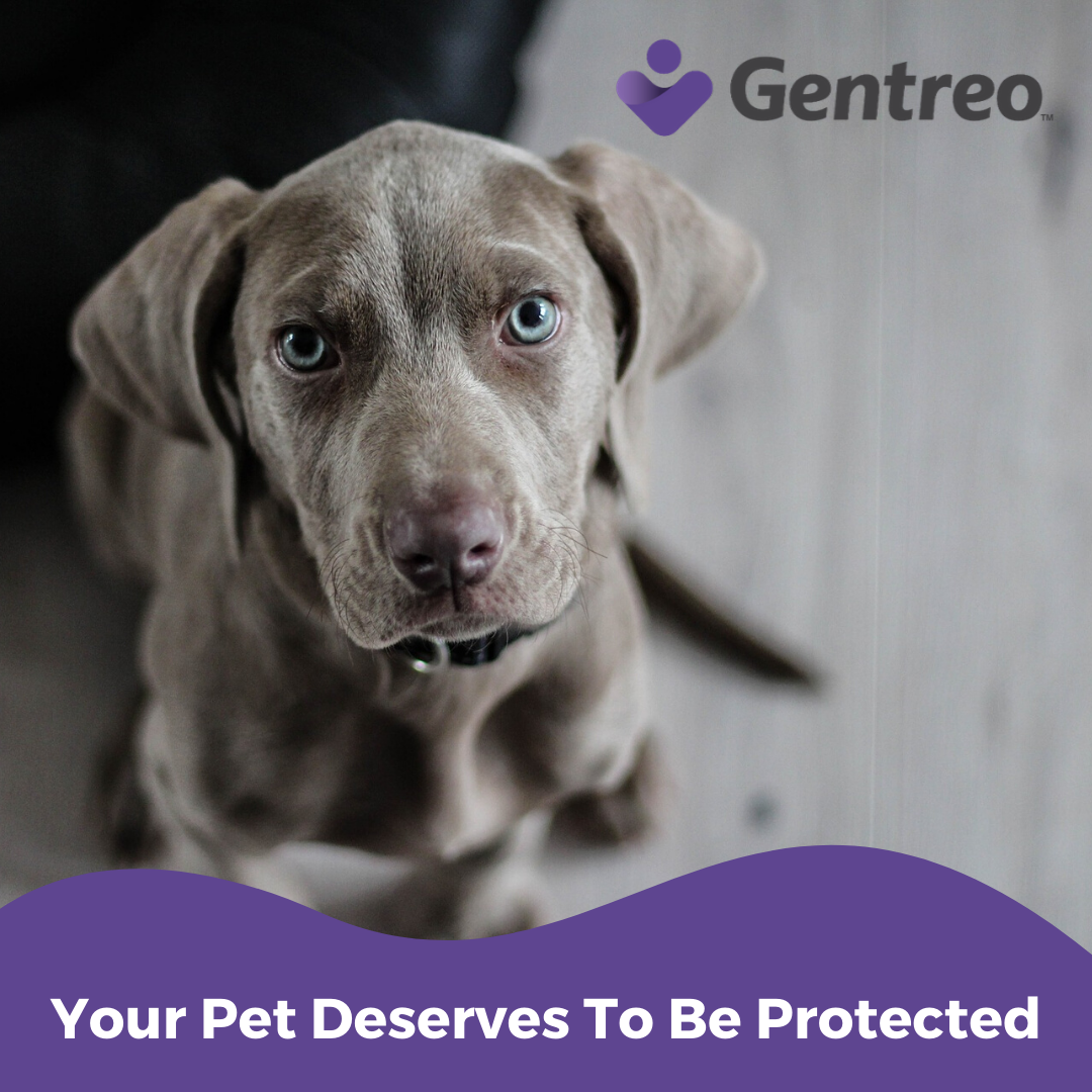 Pet owners should have a way to protect the pets they love.

Gentreo offers an easy, simple and affordable online solution so that you can protect your animals.

Visit gentreo.com/pet-power-of-a… today to learn more about how you can protect your pets while you are away from them.