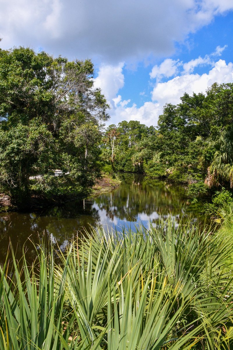 KarenMarcus16's tweet photo. Jupiter Farms a special place, let's keep it that way.
#VoteKarenMarcus2020 #Republican #VoteAugust18th #JupiterFarms https://t.co/xupy5arT4p