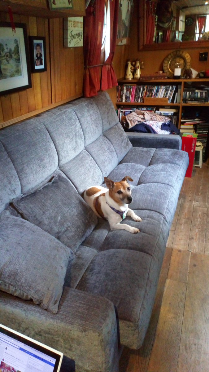 DawnEc's tweet photo. New sofa-bed, the pooch was the first to try it! #dogslife #sofabedbarn https://t.co/WO8RFjCSId