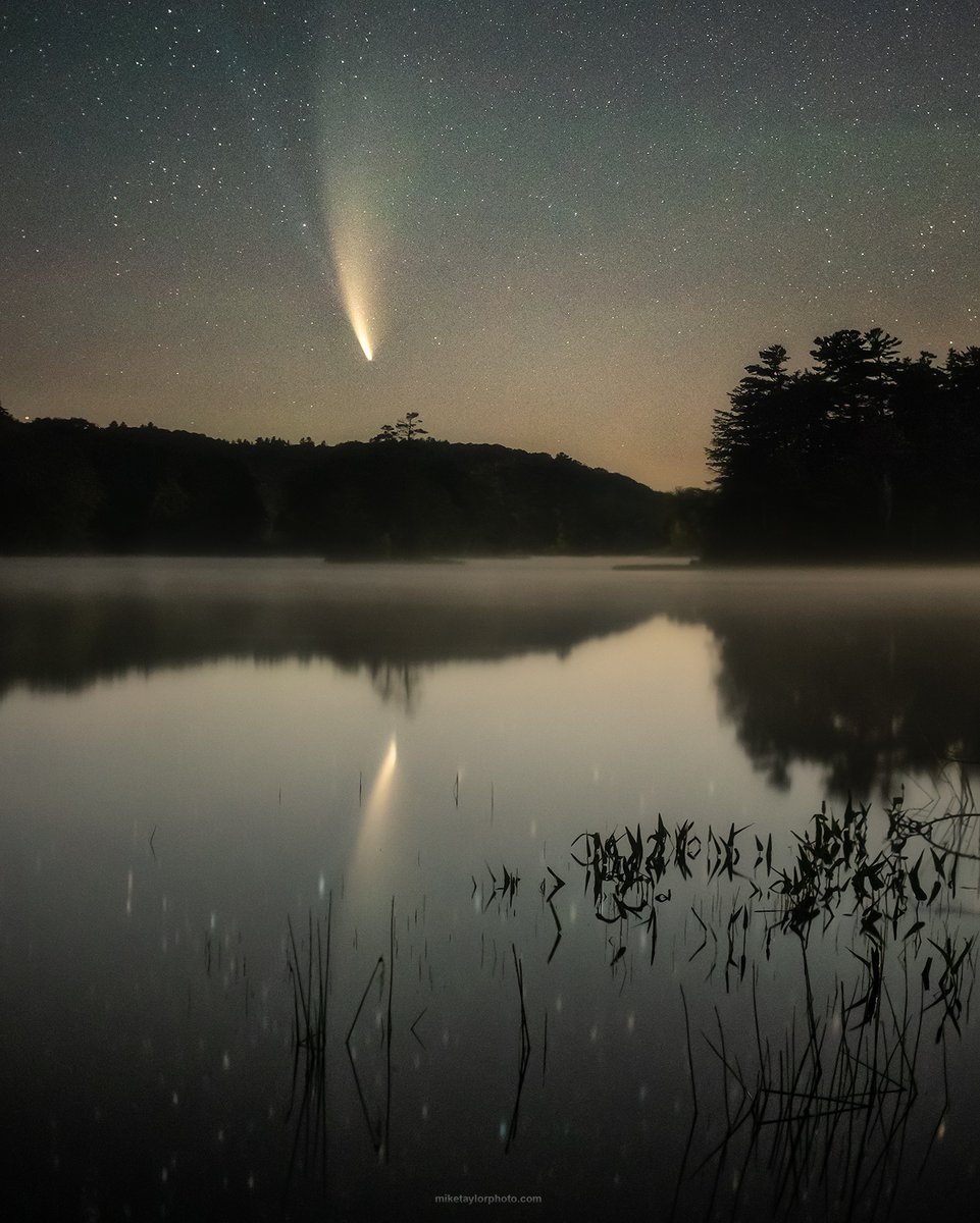Comet NEOWISE reflecting in a local pond in central Maine.

Nikon D750 &amp; 50mm

miketaylorphoto.com

#NEOWISE #Maine 

<a href="/StormHour/">#StormHour</a> <a href="/visitmaine/">Maine Tourism Office</a> <a href="/CometExtra/">jaxyn</a> <a href="/EarthandClouds/">Earth and Clouds</a> <a href="/StephenKing/">Stephen King</a> <a href="/NorthLightAlert/">Northern Lights Now</a> 
<a href="/NikonUSA/">NikonUSA</a> <a href="/ThePhotoHour/">#ThePhotoHour</a>