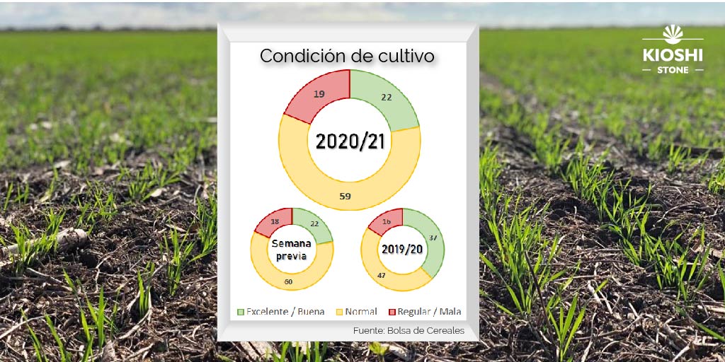 KioshiStone's tweet photo. Compartimos información de la Bolsa de Cereales sobre estado y condición del cultivo de #trigo. ¿En qué estado se encuentra el tuyo? ¿Tenés un plan de fertilización? ¿Sabías que #MistN puede ser aplicado en cualquier estadío del cultivo? @estimacionesbc #MaximizaTuRindeConMist https://t.co/3NXK7VOMvP