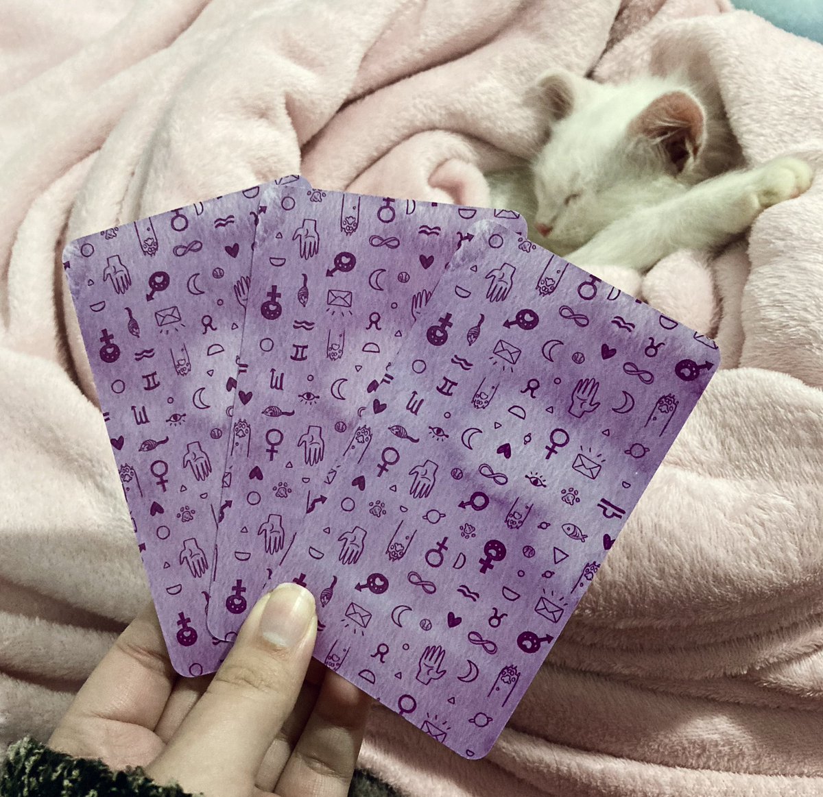 carlabraga___'s tweet photo. conselho pra vida amorosa 💘 

respire um pouquinho e peça uma orientação, da esquerda pra direita: 1, 2 e 3. rts são bem vindos 🥰 resultado às 20h https://t.co/Mb0eNkS4T5