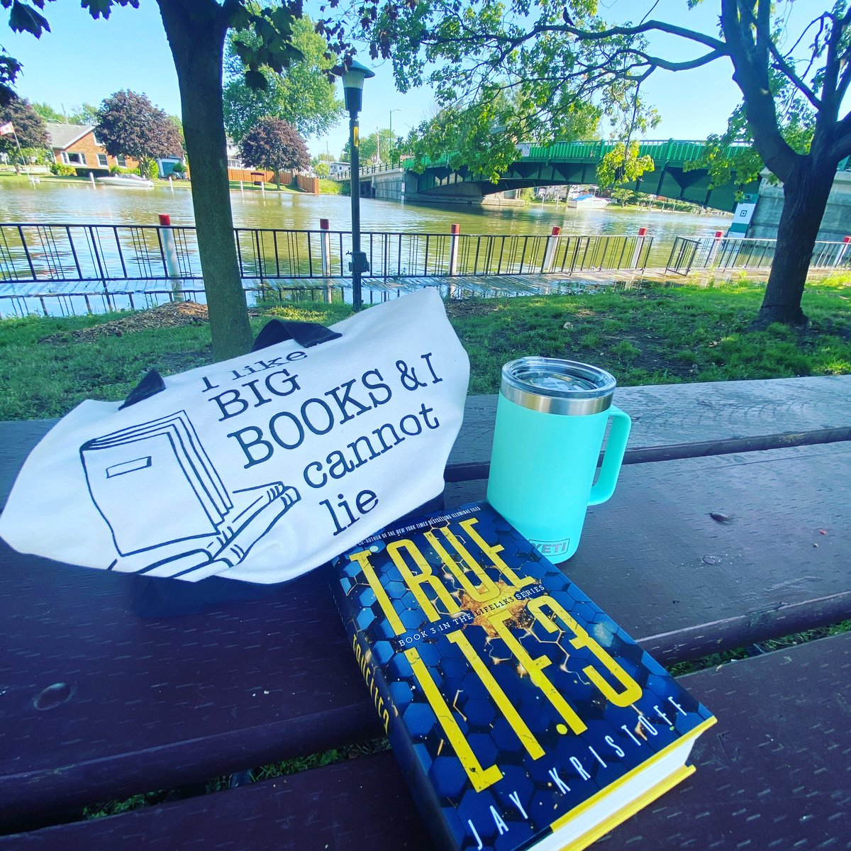 OffTheGridReads's tweet photo. My reading spot for the next little while 🙂❤️
#books #reading #readathon #offthegridreadathon https://t.co/slFleTtJqI