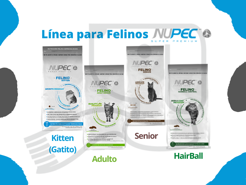 RoyalMascotte's tweet photo. ¡Hola a 👩 y 👱🏼‍♂️! Les compartimos la línea de Nupec® para 🐱🐈. Tenemos Entrega a Domicilio* 🏠🕙🚛 y distintas formas de pago.

#QuedateEnCasa  #RoyalMascotte #WellnessForThem #EntregaADomicilio

*Puede aplicar condiciones de entrega y/o disponibilidad en algunos casos. https://t.co/Nsa4JaVIHe