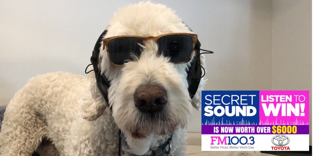 Even <a href="/FM1003/">FM100.3</a>’s Rebecca Cressman’s dog Ruggles Cressman is trying to guess the Secret Sound! Have you been playing along? The prize is now over $6,350 and CLUES start Monday at 2:20 p.m. with Rusty Keys. 

Listen to the sound here: fm100.com/contest/secret…