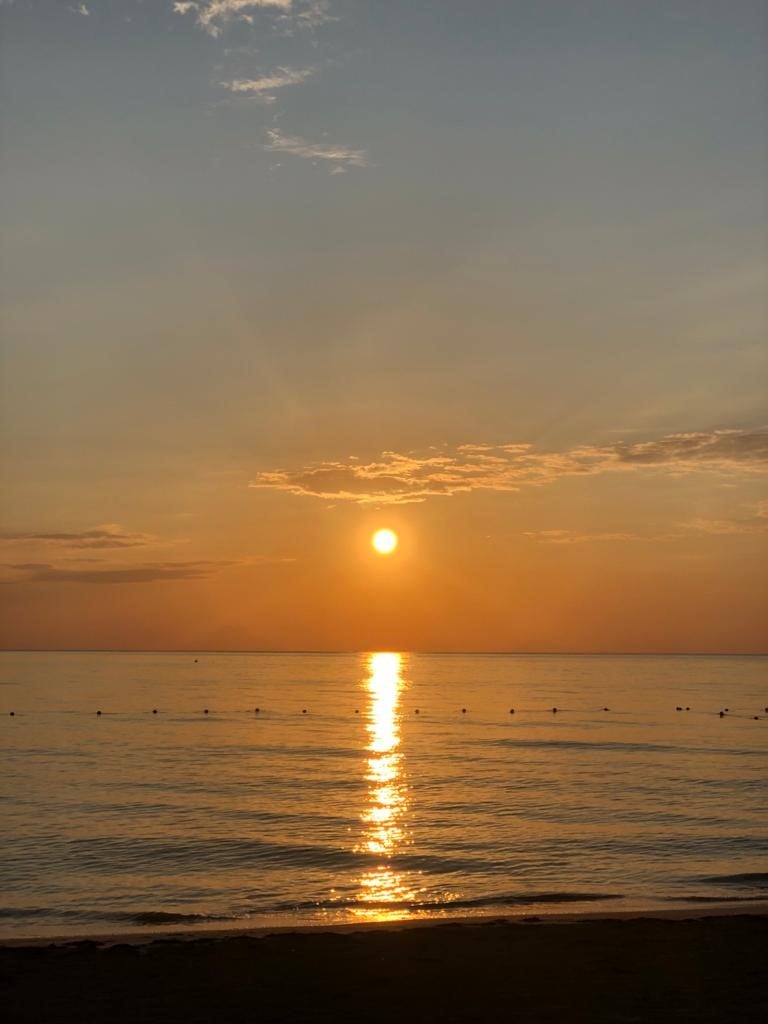 AwhileIdle's tweet photo. Another perfect sunset π
at #IdleAwhile #Negri https://t.co/nzbQliK1xB