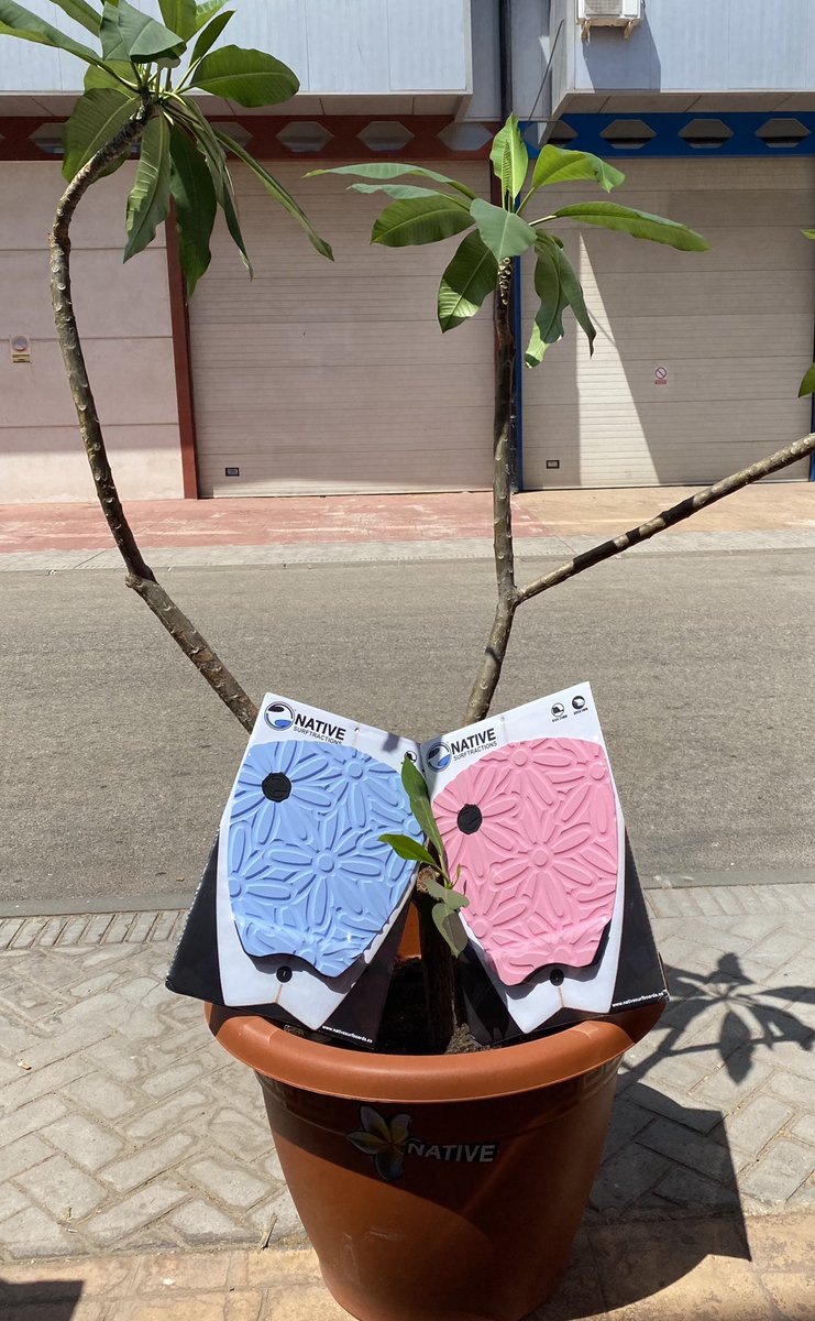 surf_pad's tweet photo. Somos fabricantes Españoles, material Europeo. 
Y tú quieres tener un Grip exclusivo ?. Unico en el mercado. #flores  952 192 162 . https://t.co/AP7SGpI0IN