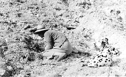 TheLeakeyFndtn's tweet photo. Mary Leakey discovered the fossil now known as OH 5 #OnThisDay in 1959. She called it "Dear Boy," but it was popularly known as Nutcracker Man or Zinj. This photo from our archive shows Mary at work, excavating her discovery at Olduvai Gorge in 1959. #FossilFriday https://t.co/j1g4qZV0mU