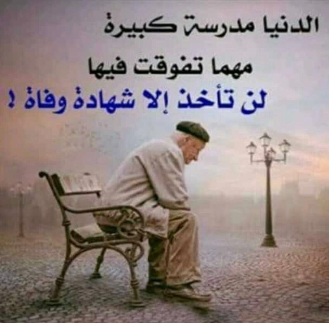 NimrMiq's tweet photo. https://t.co/4SqAmyuBwg