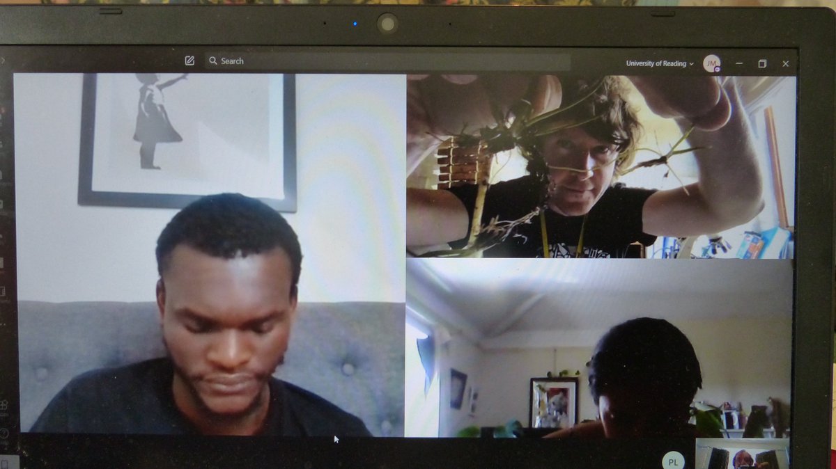 readingbotany's tweet photo. Super final #VirtualFieldCourse afternoon ID'ing real rather than virtual plants! Students showed & telled species & we all ID'd & keyed as necessary! @UniofReading @ReadingBioSci #MScPlDiv @drmgoeswild @JAjowele @floodenheim @LyuPinhui @limeandsage @BotanyRNG #VirtualBotanyBus https://t.co/mXjB6KfRXI