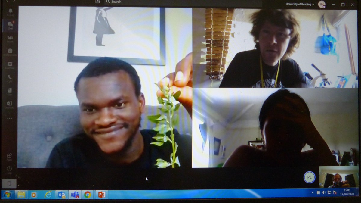 readingbotany's tweet photo. Super final #VirtualFieldCourse afternoon ID'ing real rather than virtual plants! Students showed & telled species & we all ID'd & keyed as necessary! @UniofReading @ReadingBioSci #MScPlDiv @drmgoeswild @JAjowele @floodenheim @LyuPinhui @limeandsage @BotanyRNG #VirtualBotanyBus https://t.co/mXjB6KfRXI