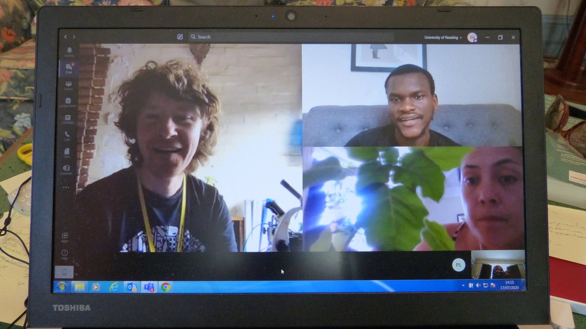 readingbotany's tweet photo. Super final #VirtualFieldCourse afternoon ID'ing real rather than virtual plants! Students showed & telled species & we all ID'd & keyed as necessary! @UniofReading @ReadingBioSci #MScPlDiv @drmgoeswild @JAjowele @floodenheim @LyuPinhui @limeandsage @BotanyRNG #VirtualBotanyBus https://t.co/mXjB6KfRXI