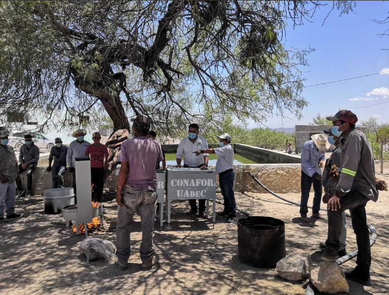 CONAFOR's tweet photo. Se les informó sobre sobre cómo hacer presentaciones del producto con fines comerciales 🕯️💄

La Universidad de Autónoma de #Coahuila @UAdeC es la institución extensionista 

🌟La candelilla es una planta de zonas áridas🏜️, de la cual se extrae una cera de alta calidad https://t.co/bci4ncRZOy
