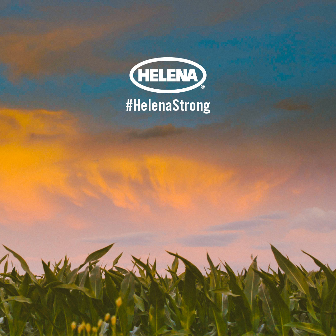 HelenaAgri's tweet photo. What does it mean to be Helena Strong? Working together to help farmers across the U.S. achieve higher yields &amp; stronger returns. There are over 2 million farms in the U.S. Thank you to each farming family that helps sustain our food supply! #HelenaStrong #GrowingTogether https://t.co/U0Rym8aGZ4