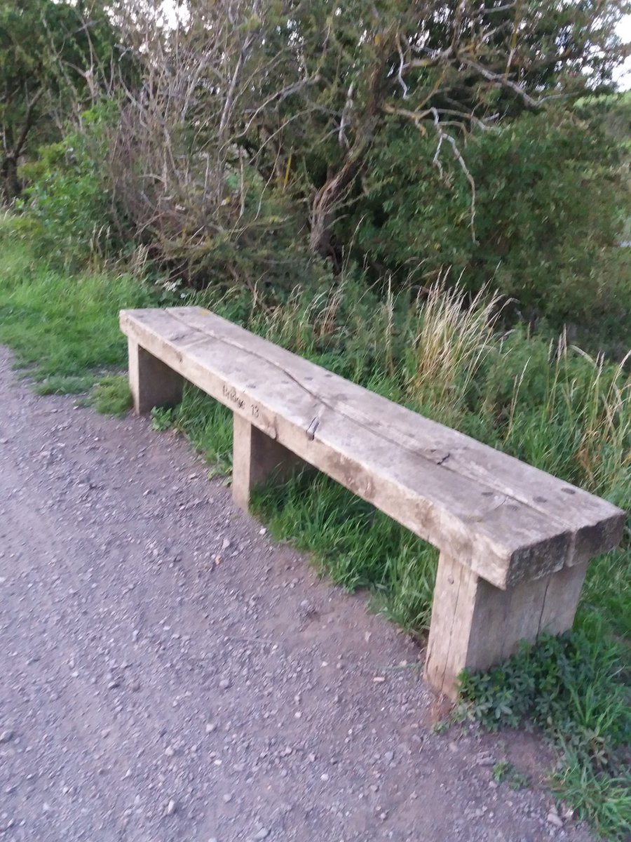 travelswffawb's tweet photo. Making the most of the evening and getting some miles in along the Brampton Valley Way. #benches #favebench #bramptonvalleyway #walk500 #northamptonshirewalks https://t.co/PbJbOxtaJV