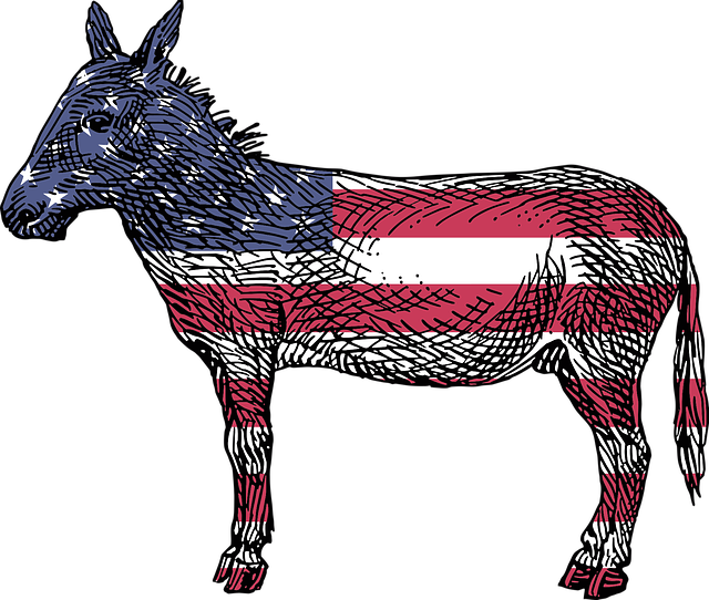 nrlc's tweet photo. Should VP Biden win the presidency in November, and the Democrats retain control of the House of Representatives, and take the Senate—where the filibuster would likely be repealed—abortion law would quickly be federalized to disallow any state restriction. https://t.co/UEAfxXVjCO https://t.co/GMPiPjVNVX