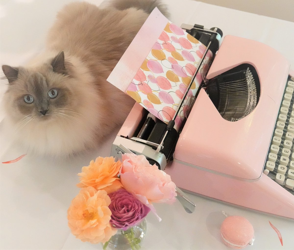 webbish6's tweet photo. In need of a bit of pink mood lift? Here's my flower lovers' vignette with pink typewriter, with sweet peas, roses from my garden, and pink dogwood photo in the background. And then one of Sylvia crashing the shoot. #pinktypewriter #pinkmoods @LiteraryKittens https://t.co/Uwn6Vgf08U