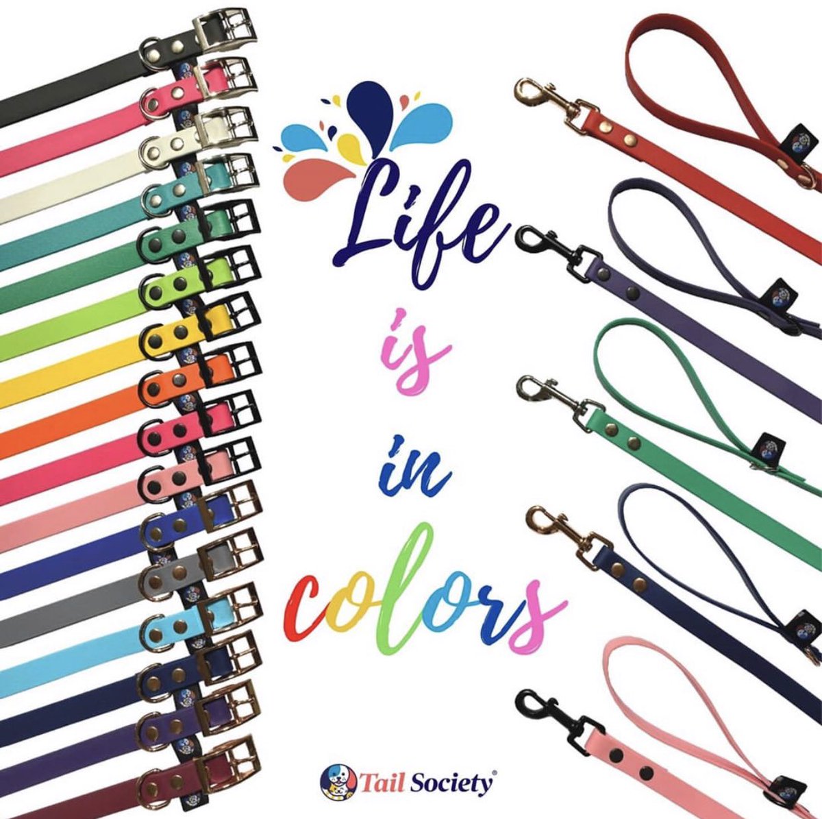 Yes_0909's tweet photo. #Consienteatumascota 🐶🐱 #collares #colors #petfashion #accesories #petcollar #envíosnacionales 🎉 https://t.co/mmmZv6ehnQ