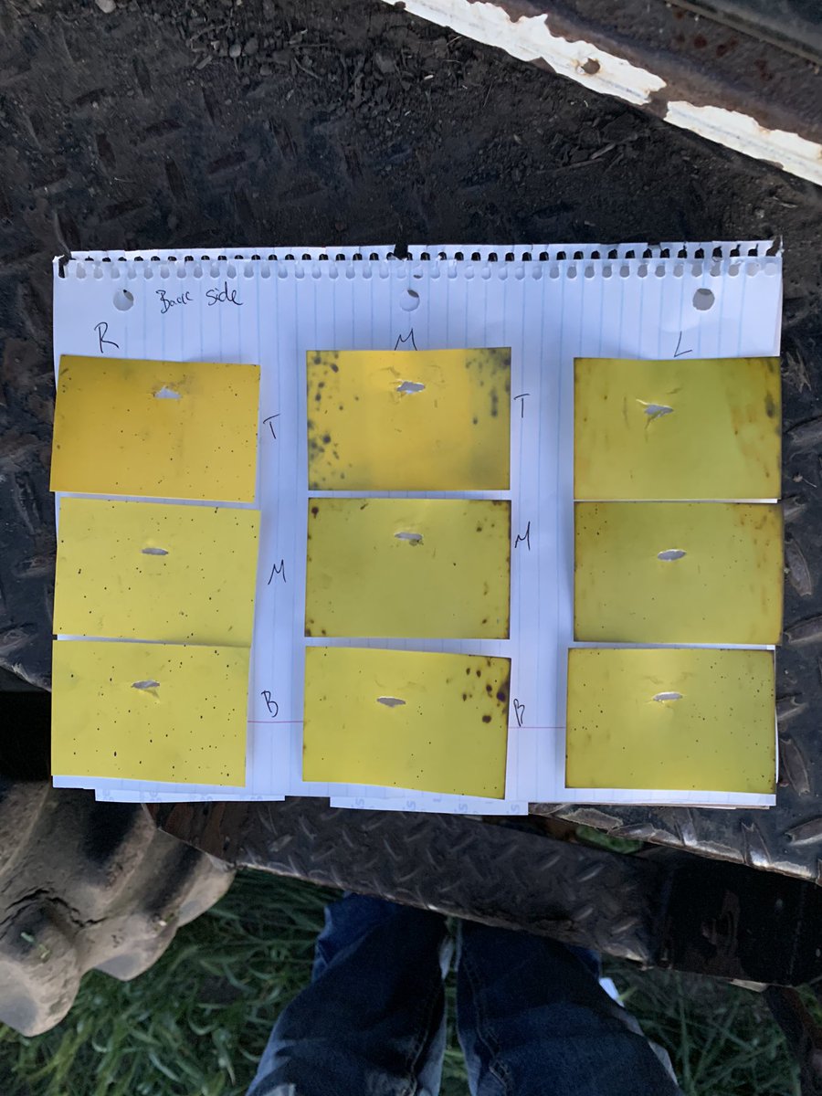2Karterk's tweet photo. Here’s a little spray coverage trial I did yesterday evening showing what straight regular 10 gallon nozzles look like. @westernproducer @realagriculture @nozzle_guy @WheatPete #coreaginputs #2020fieldtrials https://t.co/8fx4Tllr5n