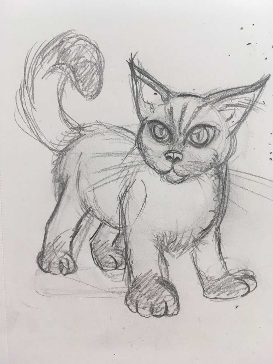 luxshine's tweet photo. #kitty sketch because I need to draw the unnamed kitty in #buildingblockscomic a lot in the next few days. #kitten #buildingblocks #webcomic #pencil https://t.co/s2If1WKN4E