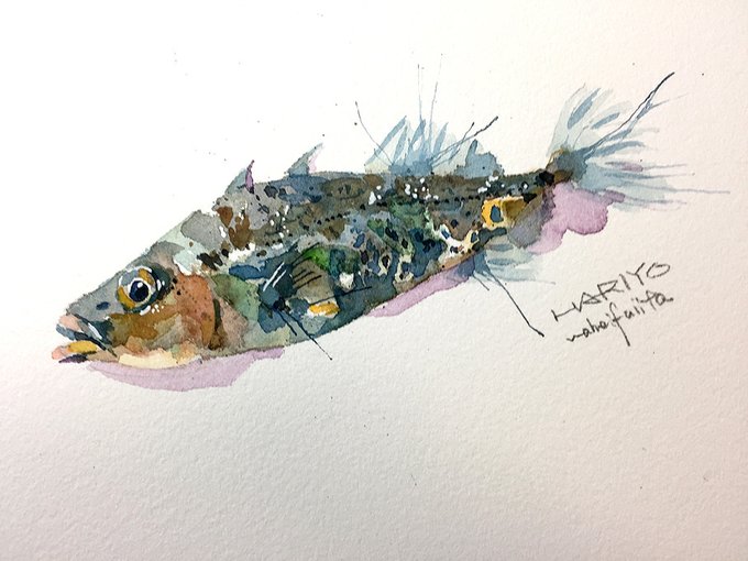 琵琶湖博物館のtwitterイラスト検索結果 古い順 琵琶湖博物館のtwitterイラスト検索結果 古い順