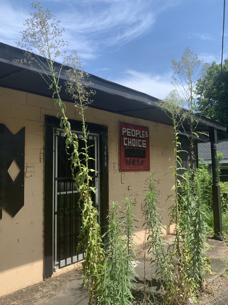 Today, the People’s Choice is boarded up and covered with weeds. Back then, fall of ‘83, it was the place to be. And Timothy Coggins was often found at the center of the dance floor  #InTheColdDarkNight