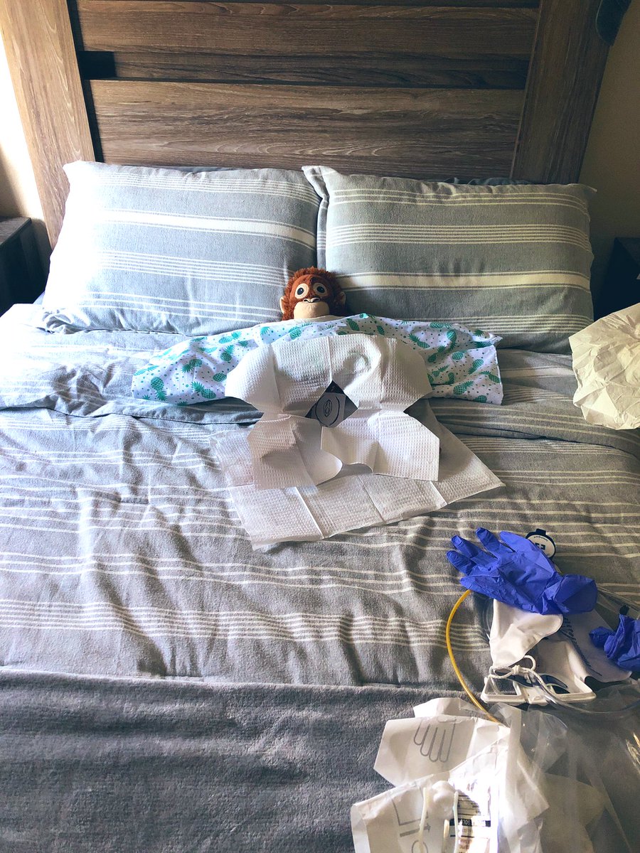 hi_im_dess's tweet photo. My sets up for validations are too much ๐ #ivinsertion #urinarycatheter https://t.co/2kecQd4LmF