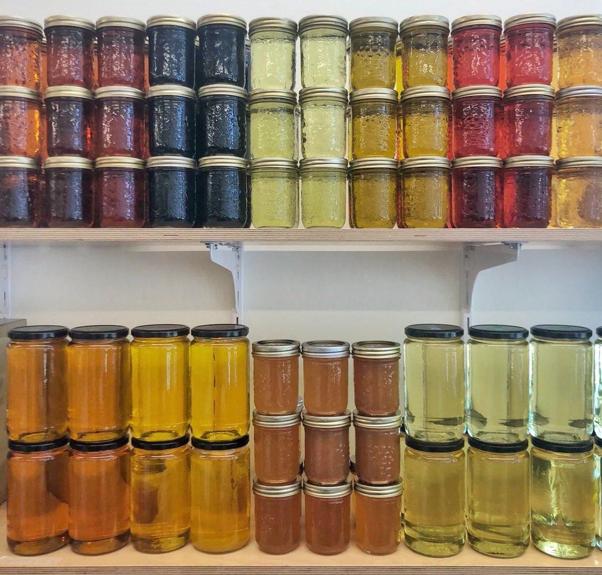 nugrocery's tweet photo. A Friday #shelfie to send you off into the weekend! #BulkIsBeautiful and these jars show off all the colours of our #bulk oils and vinegars. Can you guess which one is which?

Can't wait to welcome you back at #NUWellington! The reopening is pencilled in for August 1st! 🎉 https://t.co/byalHUNudE