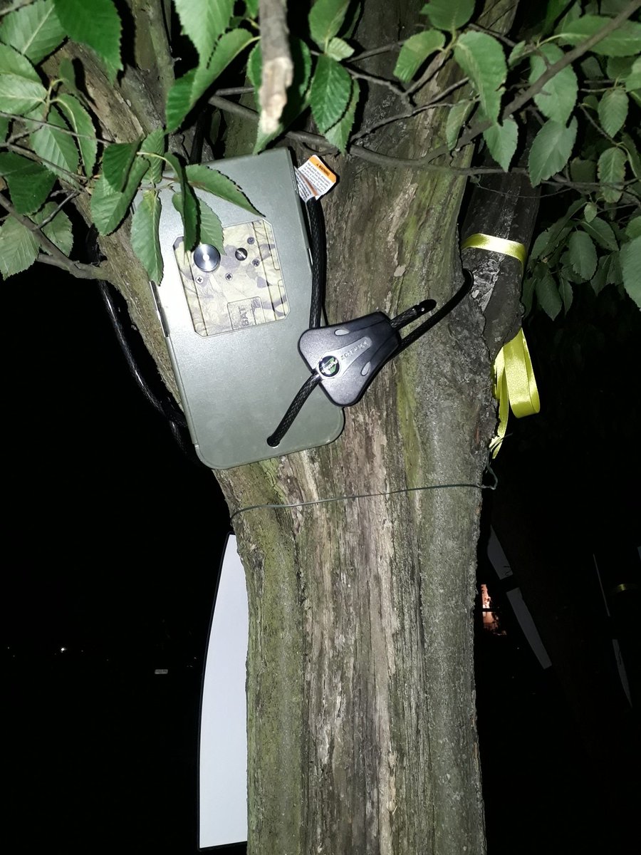 habsandheritage's tweet photo. We've put up our #bat detector this evening at @GodwinTrees in #StMargarets to gather more data about #bats here. We know that #SopranoPipistrelles are using the site soon after dusk, but with a nearby dark corridor, we look forward to finding out what other bats might be here. https://t.co/xCCKJrByMC