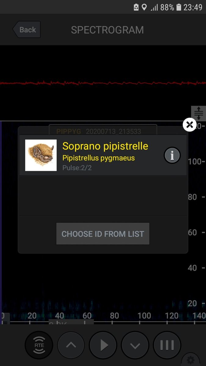 habsandheritage's tweet photo. We've put up our #bat detector this evening at @GodwinTrees in #StMargarets to gather more data about #bats here. We know that #SopranoPipistrelles are using the site soon after dusk, but with a nearby dark corridor, we look forward to finding out what other bats might be here. https://t.co/xCCKJrByMC